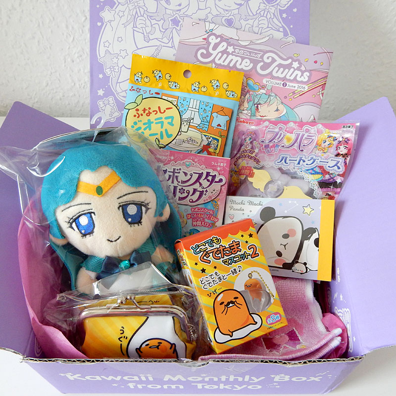 YumeTwins Subscription Box Review