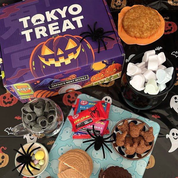 TokyoTreat & Sakuraco Snack Box Highlights