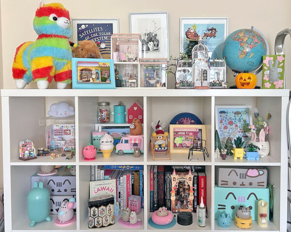 kawaii shelves