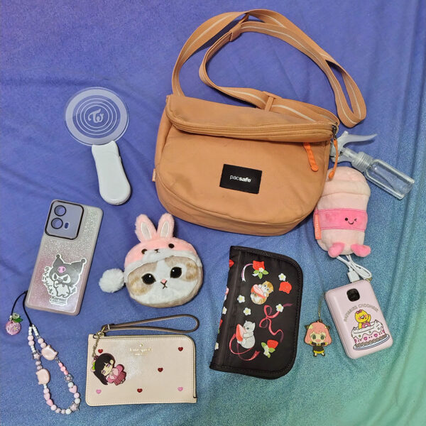 What's in My Bag…for a K-Pop Concert