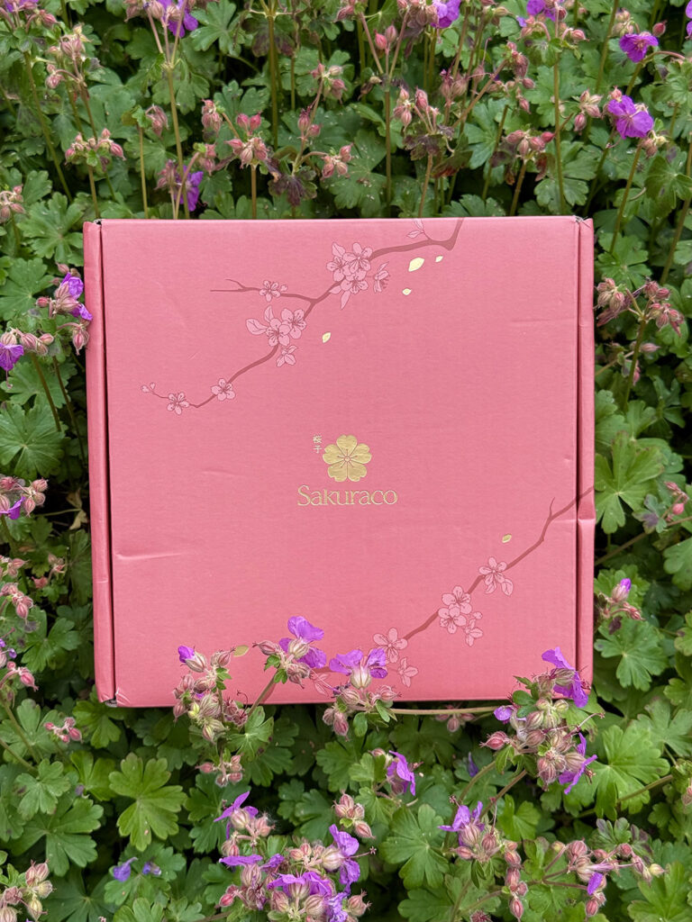 Sakuraco monthly Japanese Artisan Snack Box