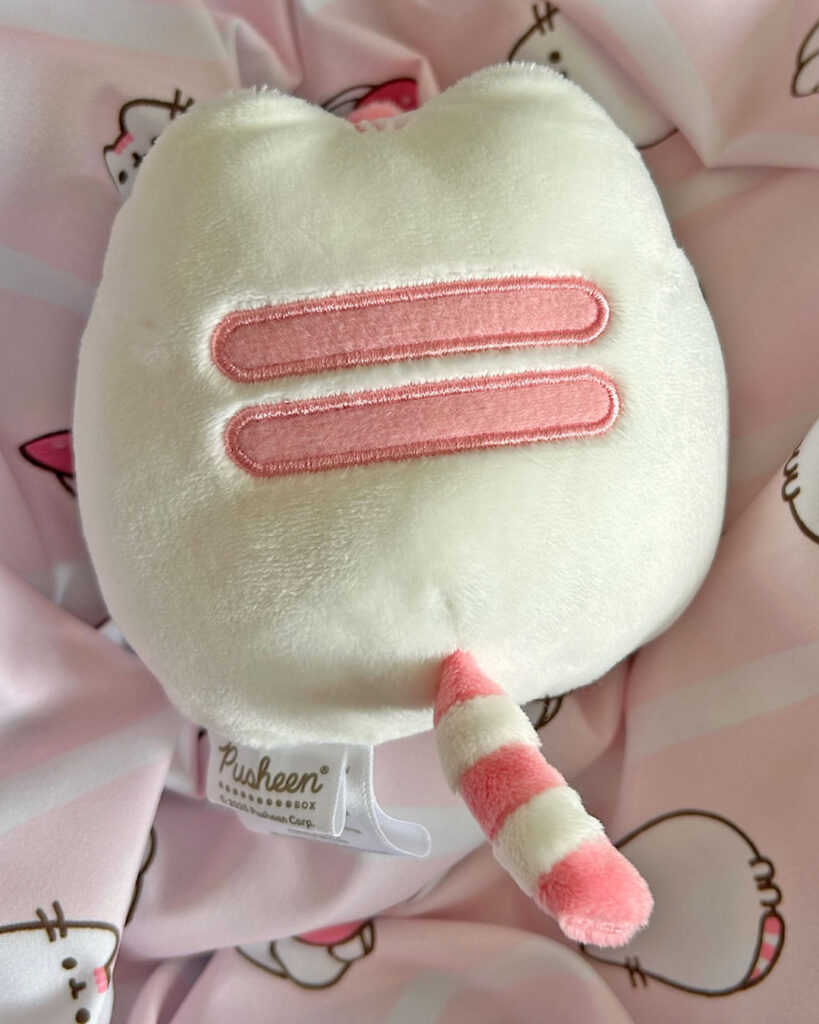 Summer 2025 Pusheen Box Review