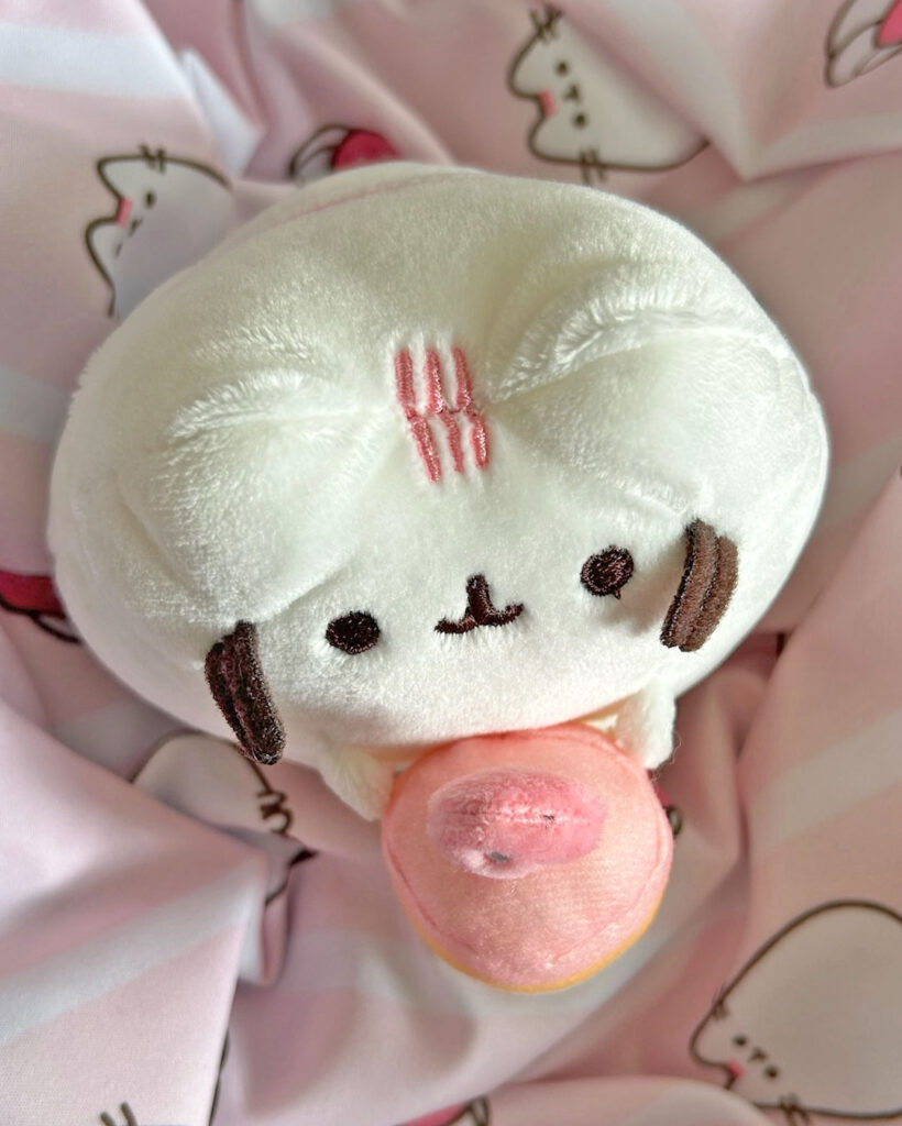 Summer 2025 Pusheen Box Review
