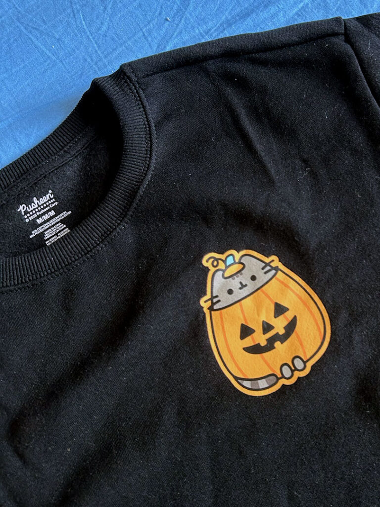 Fall 2025 Pusheen Box Review