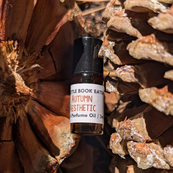 Autumn Aesthetic fragrance