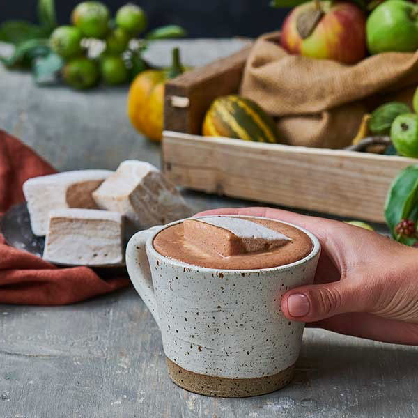 pumpkin spice hot chocolate recipe