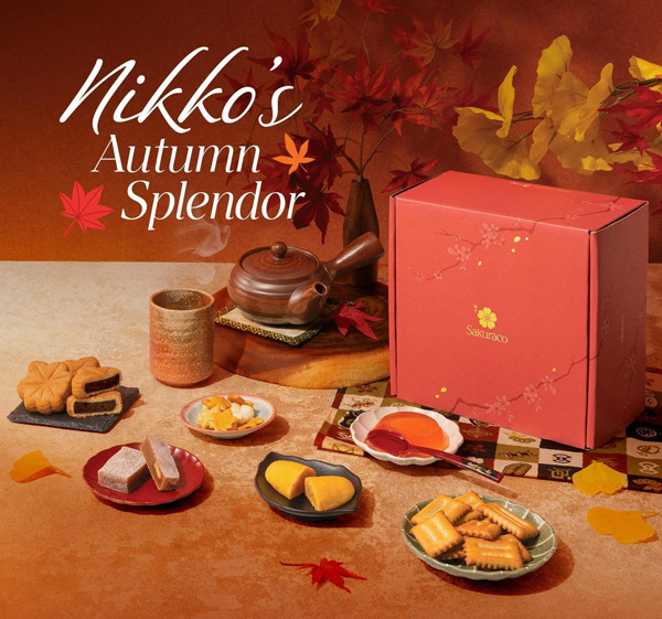 Japanese snacks subscription box
