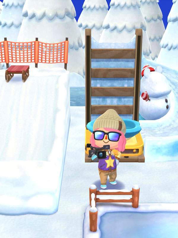 Animal Crossing Pocket Camp Custom Designs