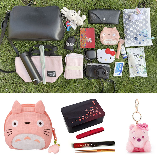 What’s in My Bag…for a Cherry Blossom Picnic