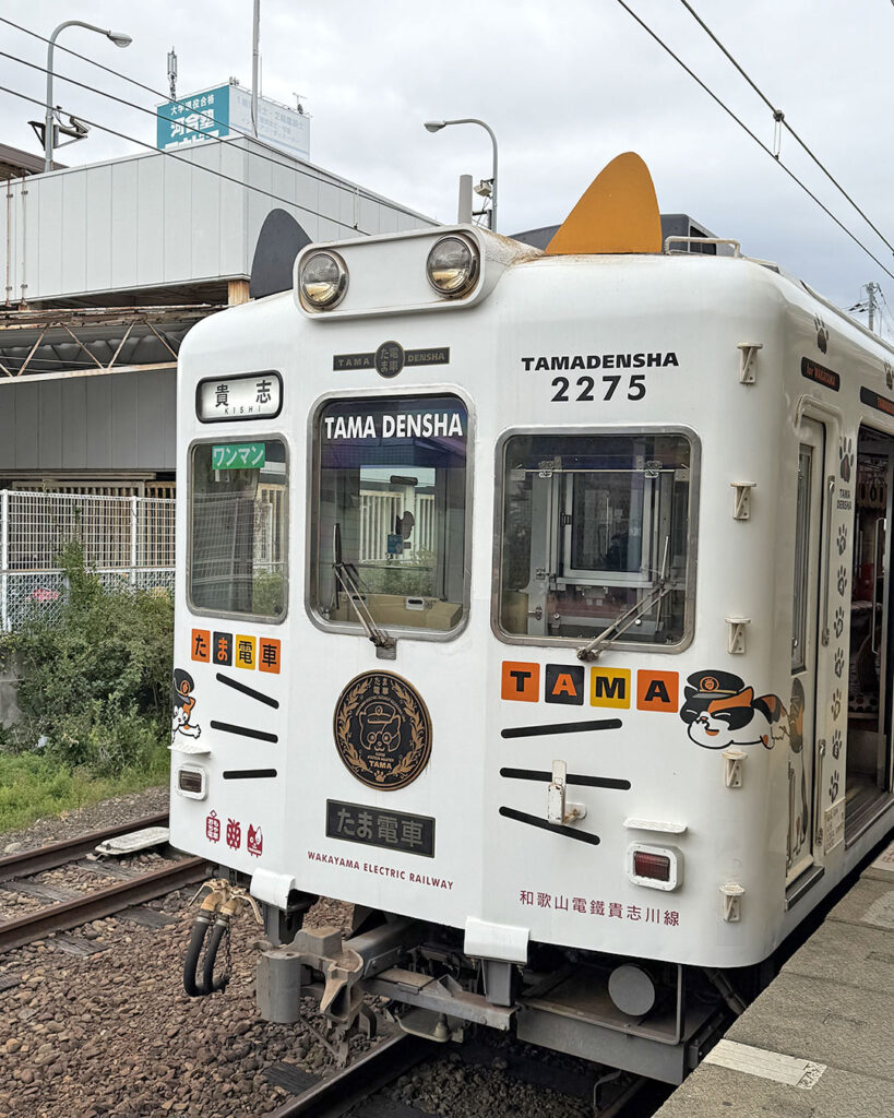 Japan cat train