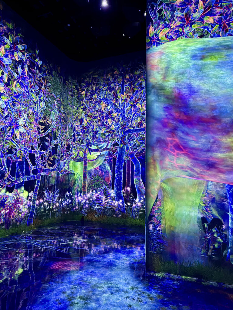 teamLab Planets in Tokyo