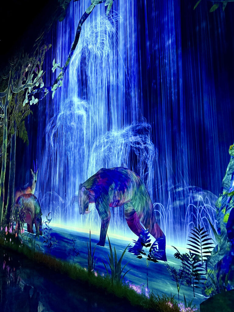 teamLab Planets in Tokyo