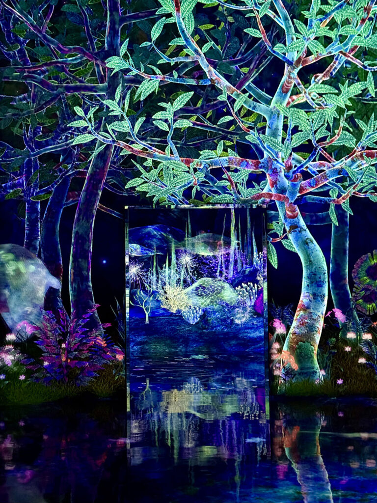 teamLab Planets in Tokyo