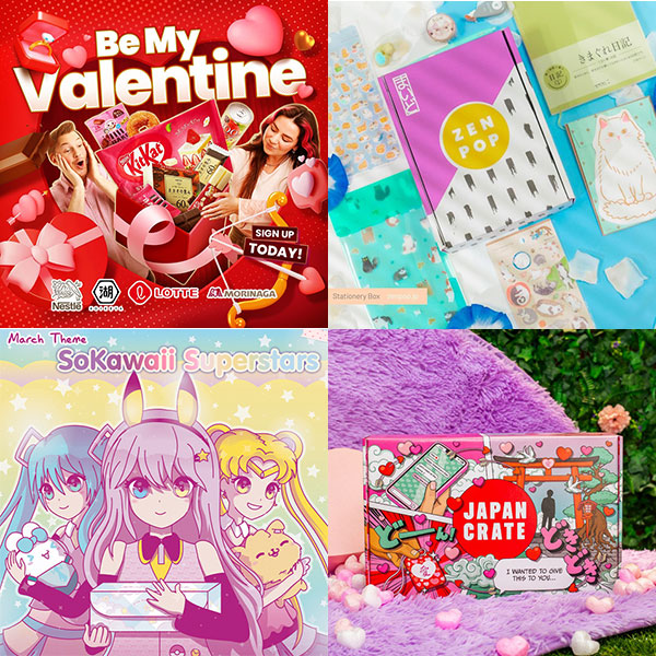 February 2024 Subscription Boxes Roundup