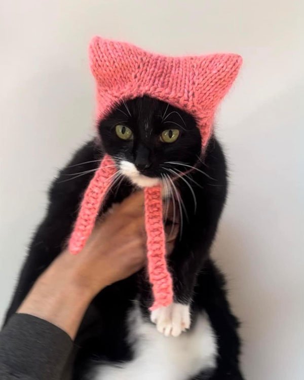 cat bonnet knitting pattern