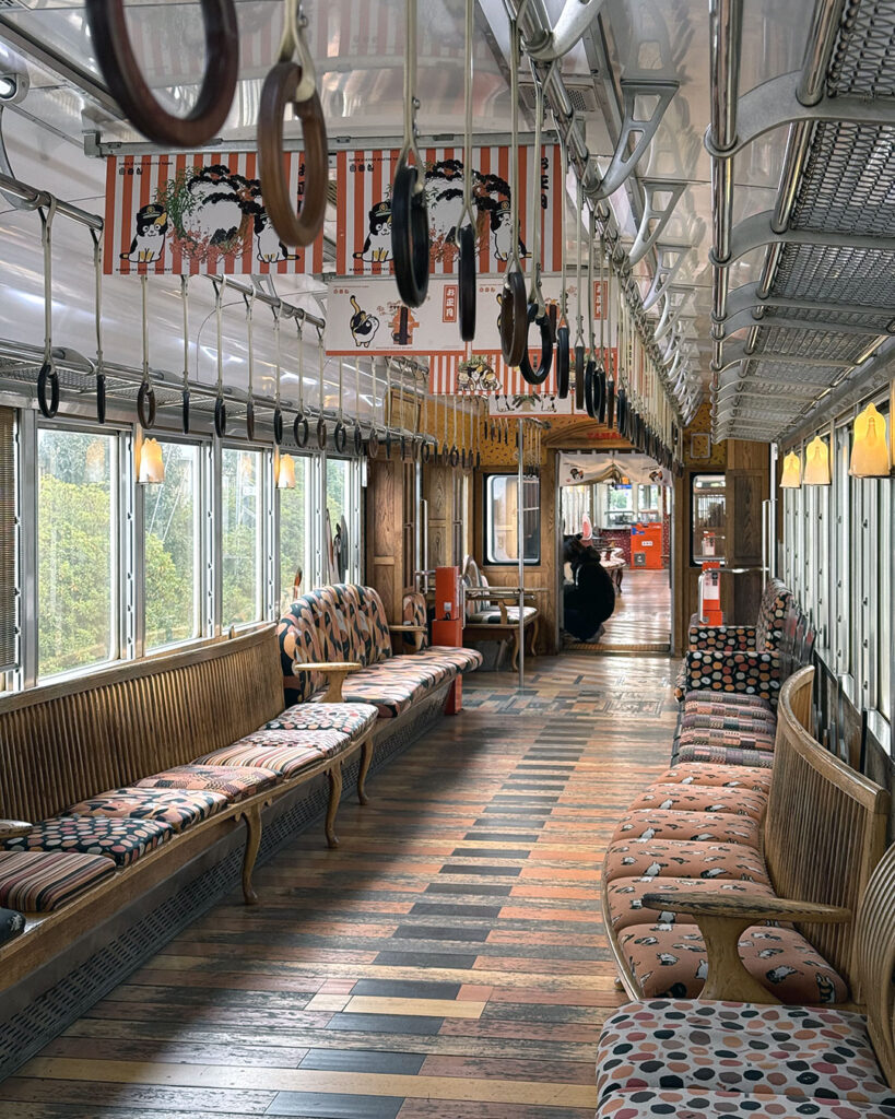 Guide to Regional Rail Passes in Japan