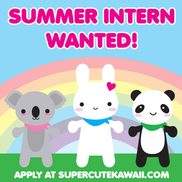 SCK Summer Intern Wanted!