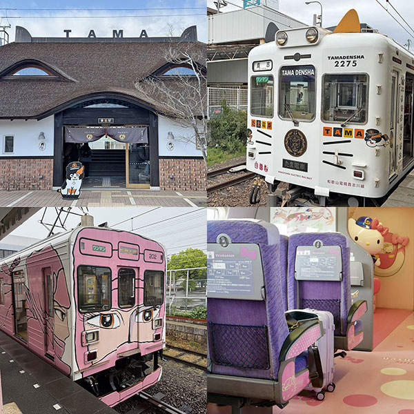 Guide to Regional Rail Passes in Japan