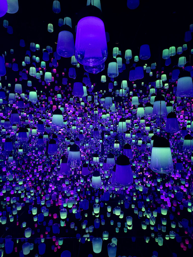 teamLab Biovortex in Kyoto, Japan
