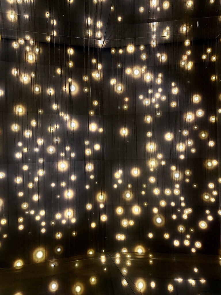 teamLab Biovortex in Kyoto, Japan