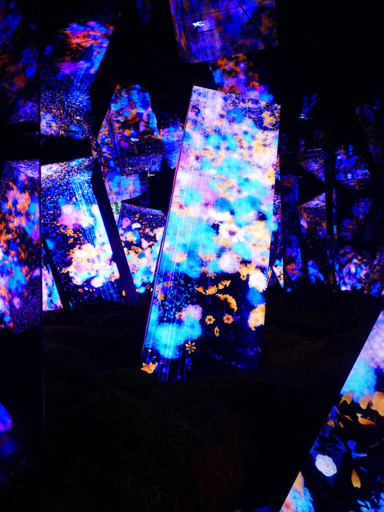 teamLab Biovortex in Kyoto, Japan
