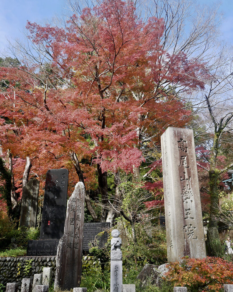 Mt Takao Japan