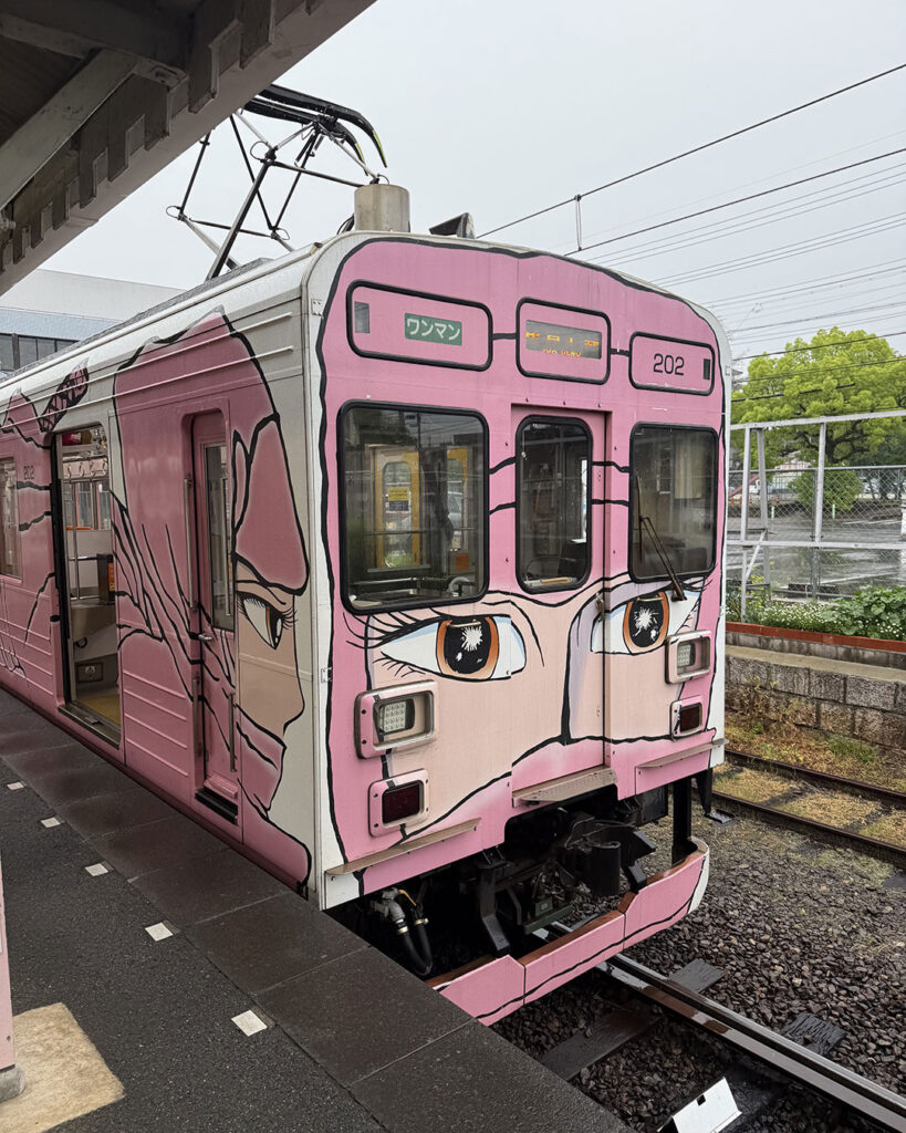 Ninja train in Japan
