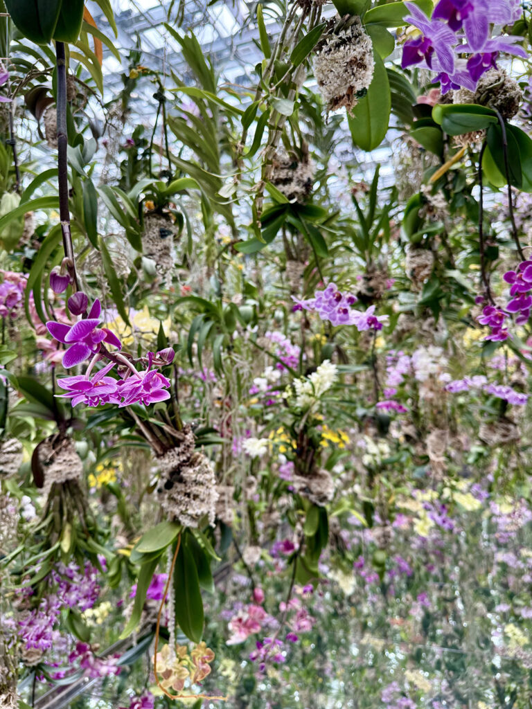 teamLab Planets in Tokyo