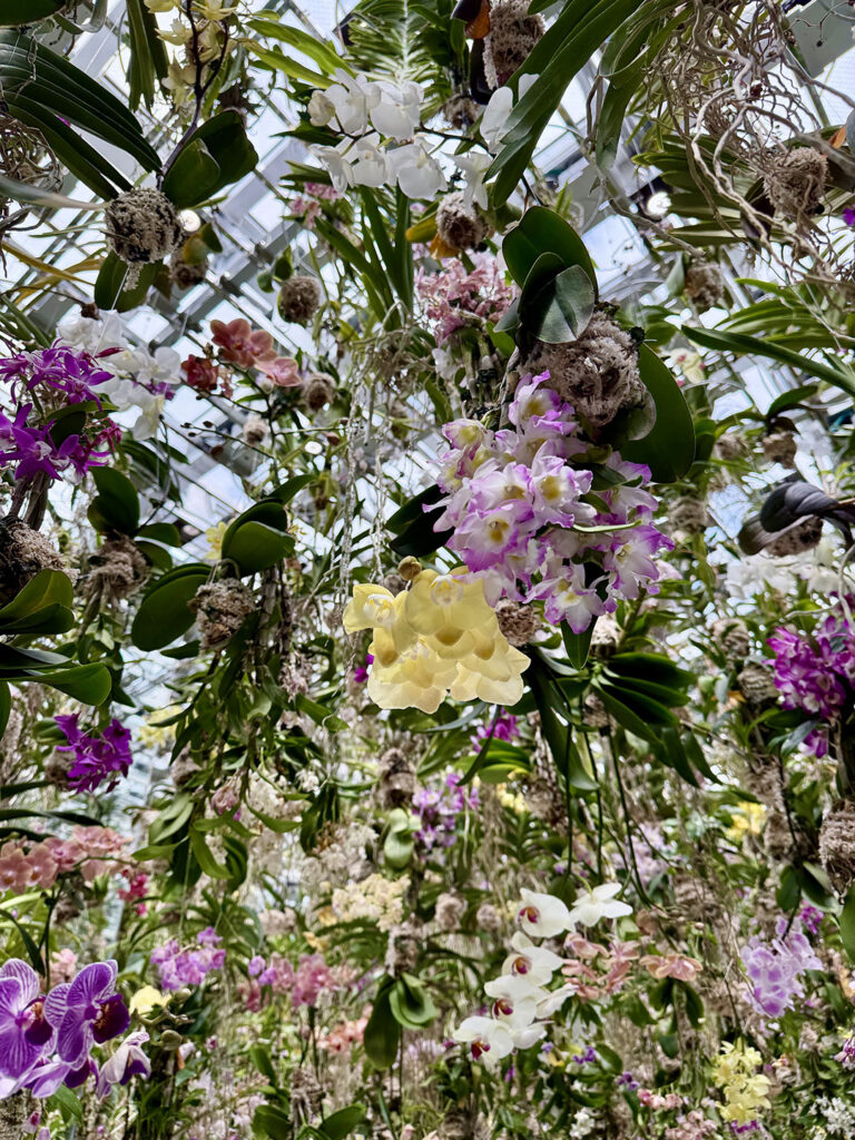teamLab Planets in Tokyo