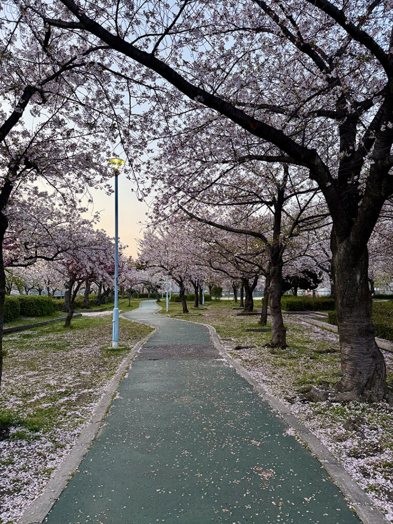 Sakuranomiya Osaka