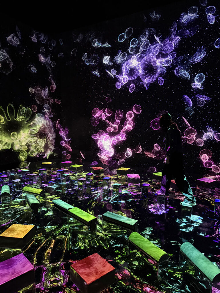 teamLab Planets in Tokyo