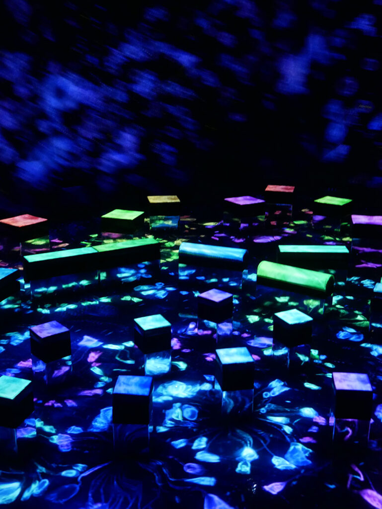teamLab Biovortex in Kyoto, Japan