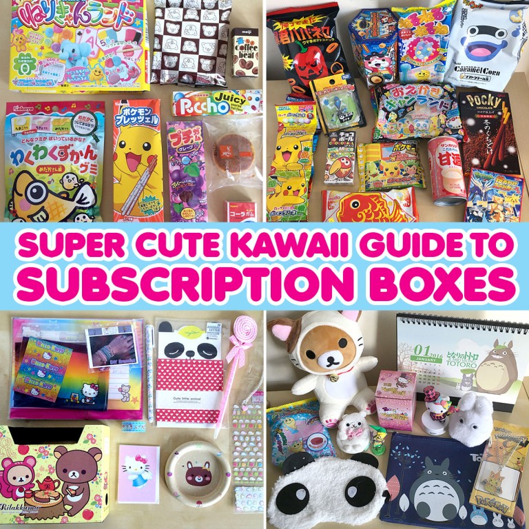 super cute kawaii guide to subscription boxes