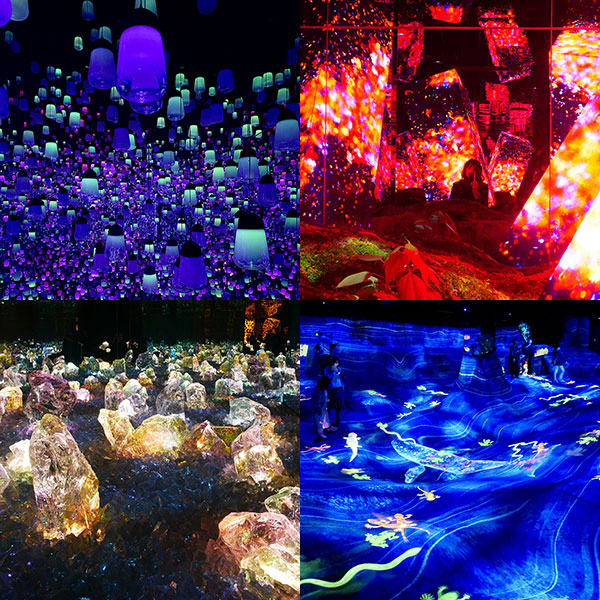 Visiting teamLab Biovortex in Kyoto, Japan
