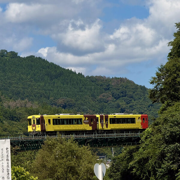 'Pokemon With You’ Joyful Train in Japan