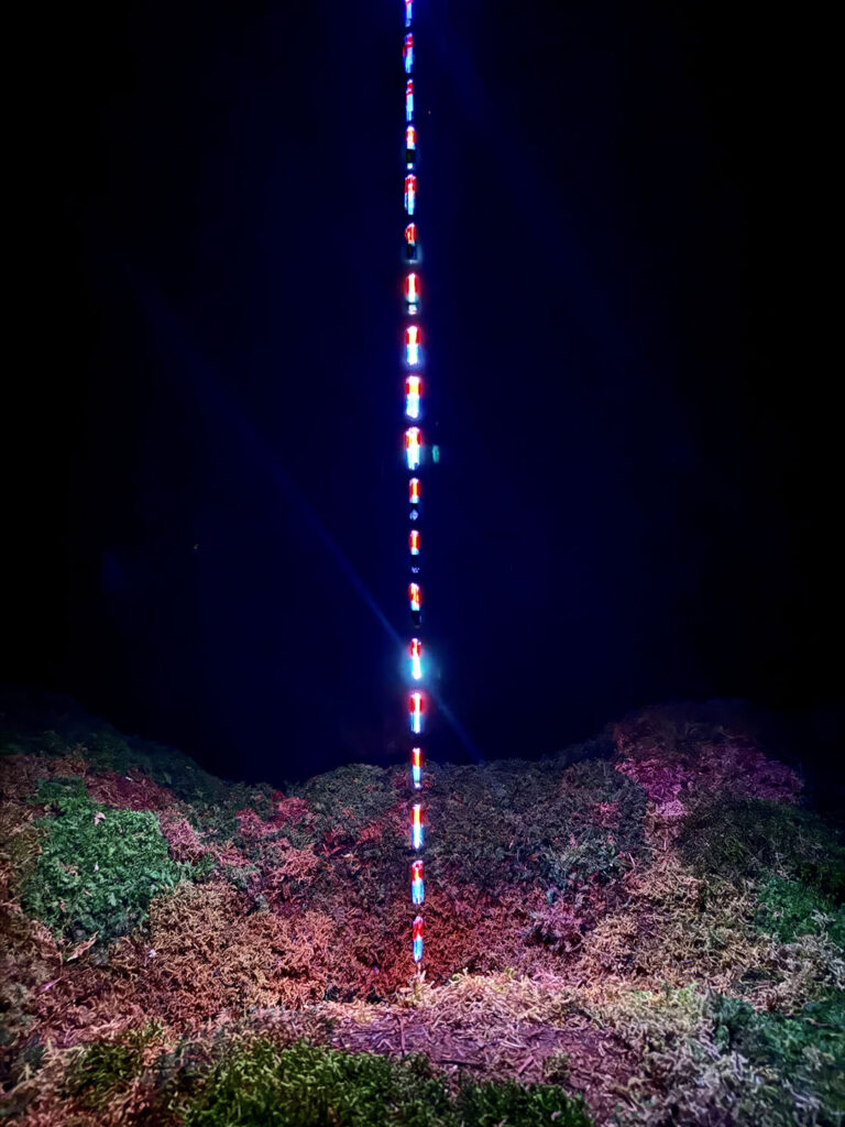 teamLab Biovortex in Kyoto, Japan