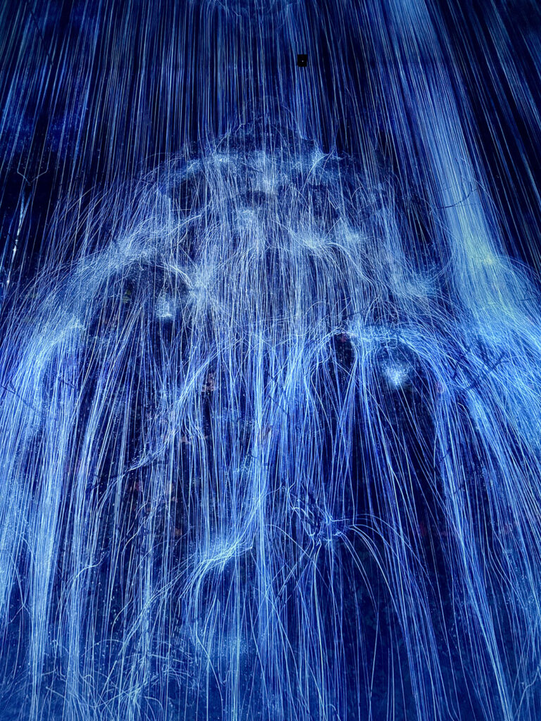 teamLab Biovortex in Kyoto, Japan